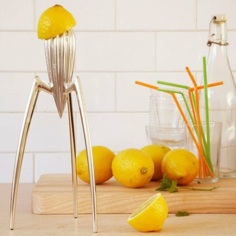 Alessi Citrus Juicer Top Choice